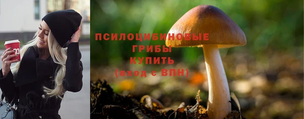 хмурый Волосово