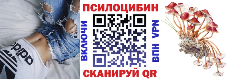 Псилоцибиновые грибы Psilocybine cubensis  сколько стоит  это телеграм  Вязники 